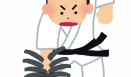 空手道漫画,热血少年逐梦之路